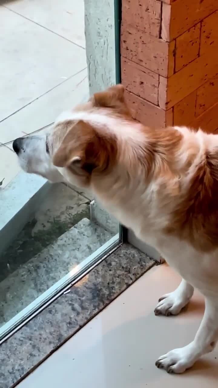 На районе его боялись все