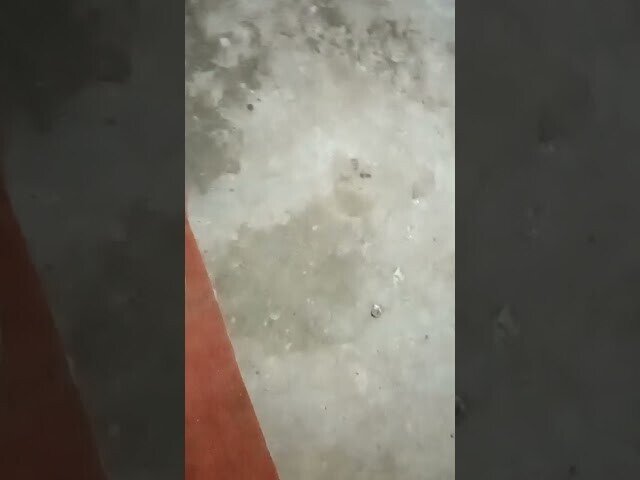 Хороший совет на зиму от профессионала