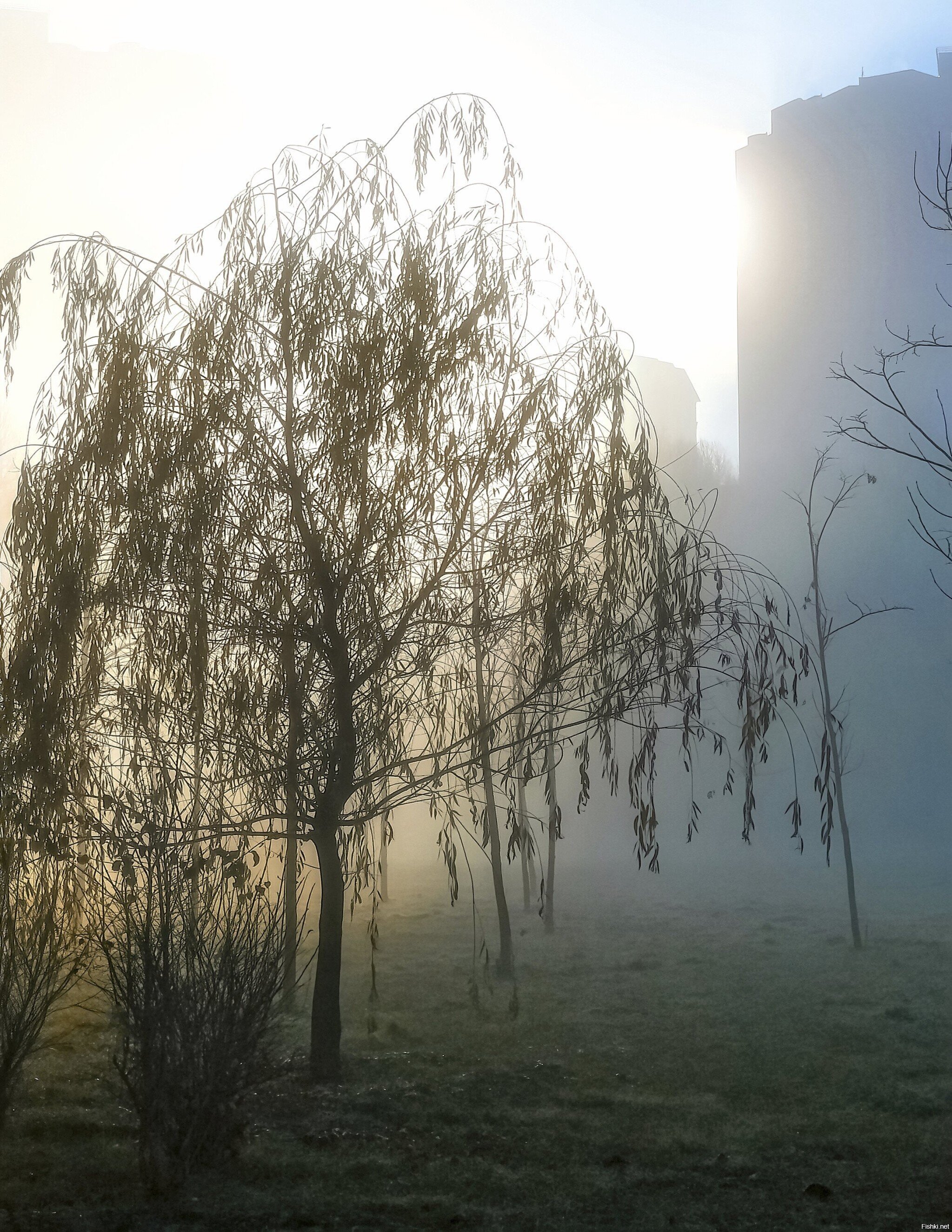 Осеннее утро