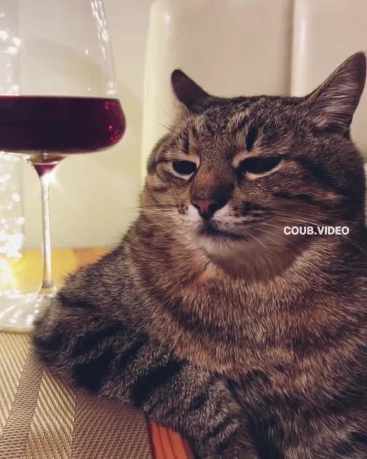 Степан познал этот мир)