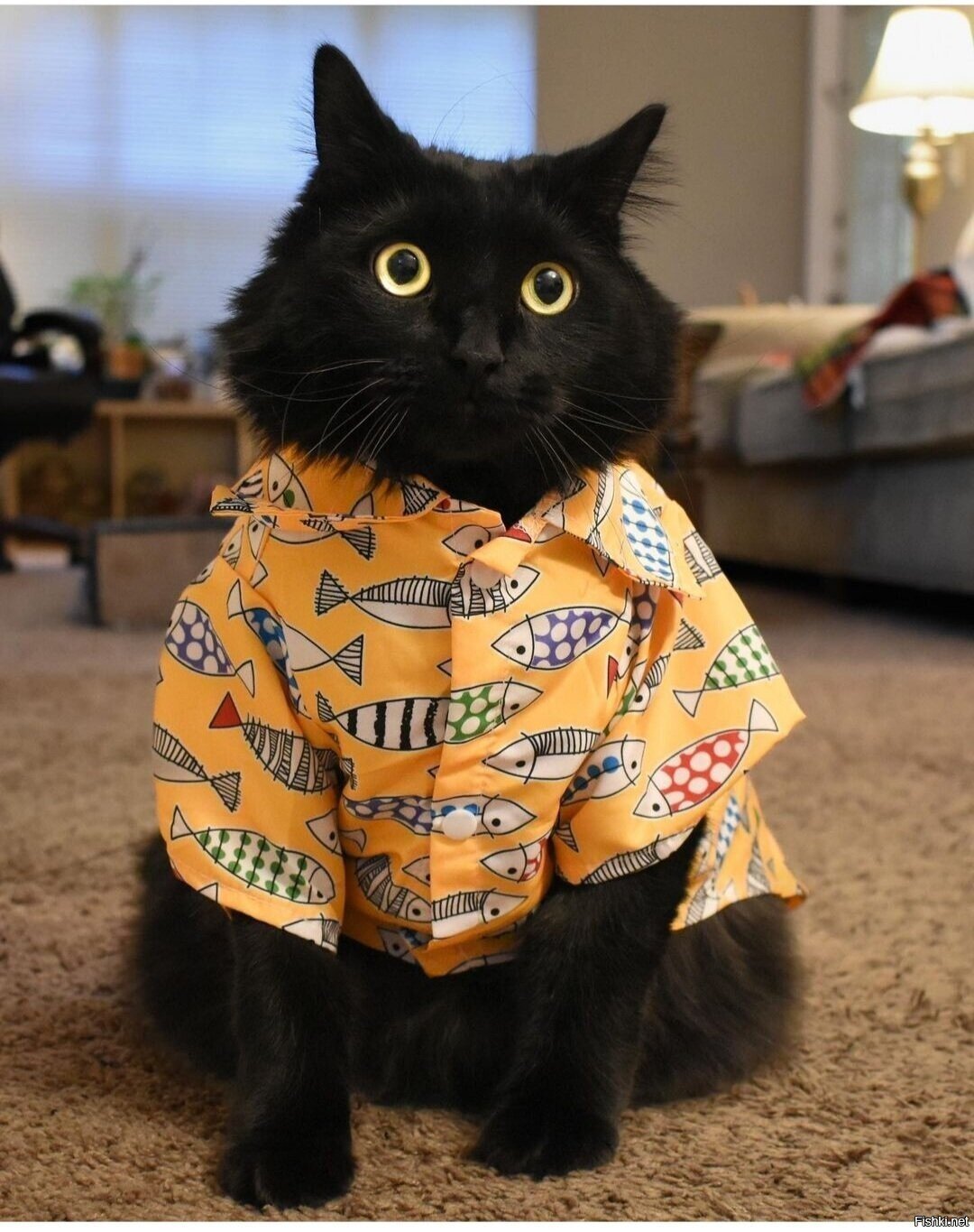 Доброе утро