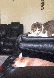 Аж бесишь прям