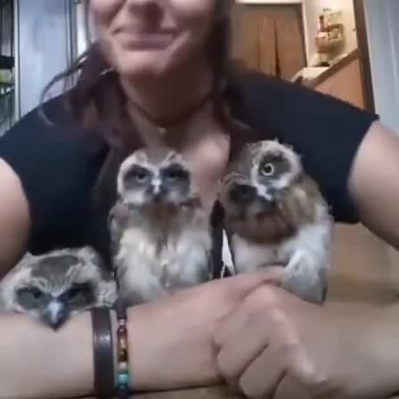 Левая сова устала))