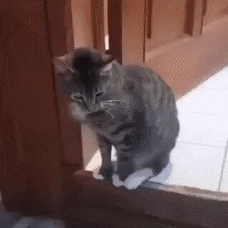 -здорова, сосед