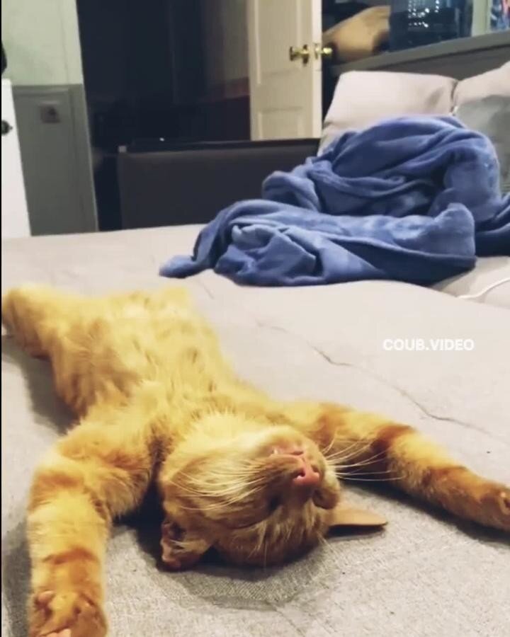 После тяжёлого рабочего дня))