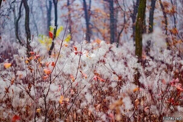 Доброе утро) 