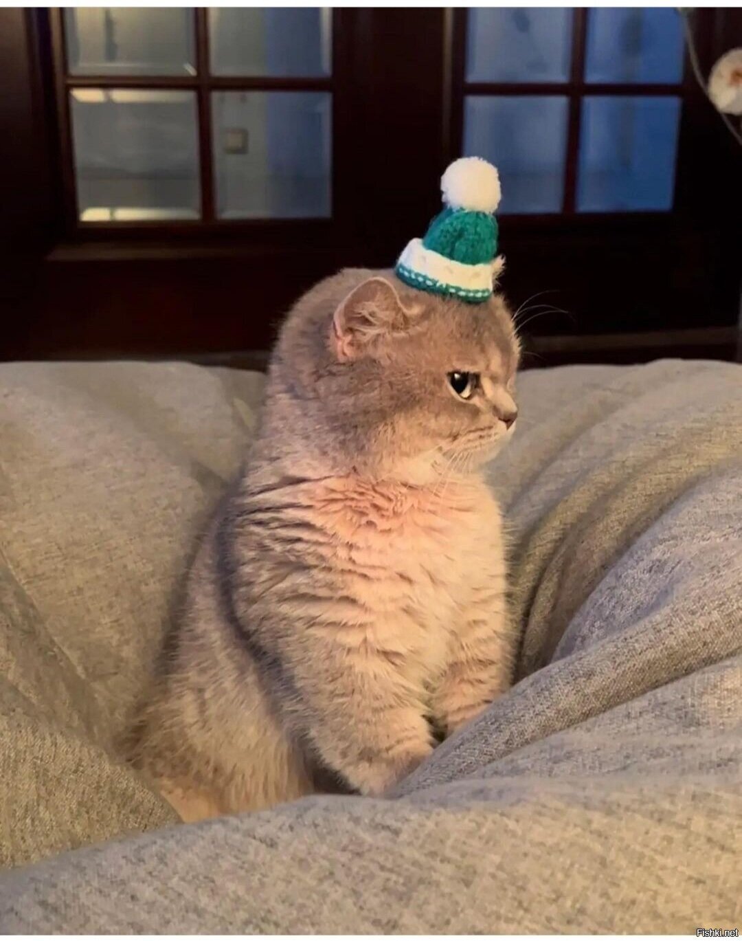 Доброе утро