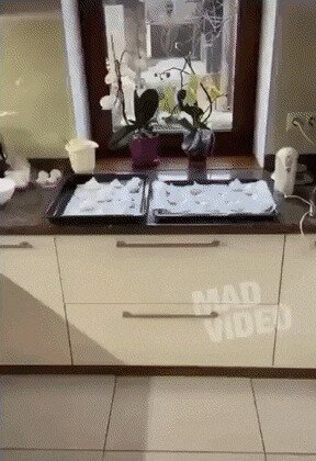 -ты что на кухне делал