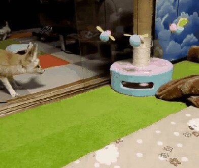 - Дети, спокойно, спокойно