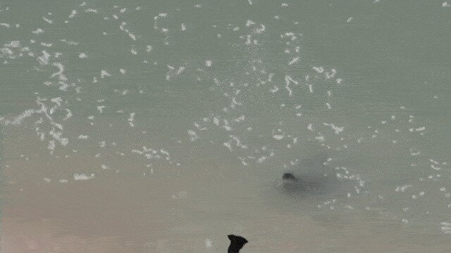 - Айда бегать