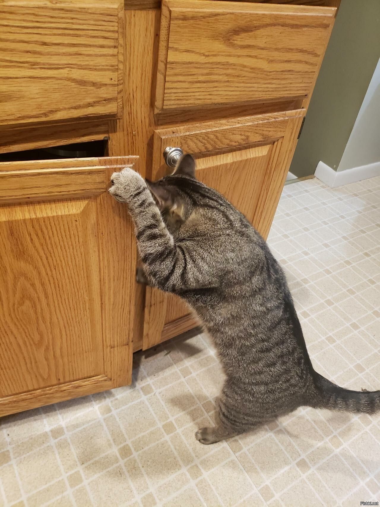 И ты когда-нибудь лёгким испугом отделаешься