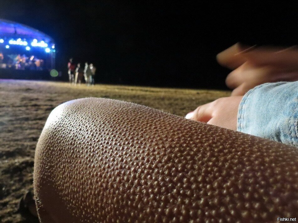 Мурашки- не только от чувства страха или от озноба появляются , но и от возбу...