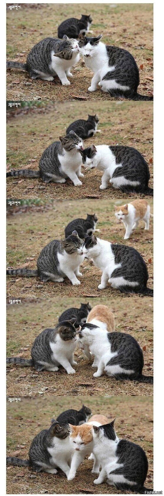 Встали тут по-среди дороги , не проехать , не пройти