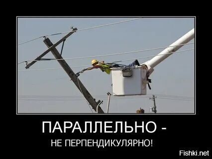 Как отличить математика от физика