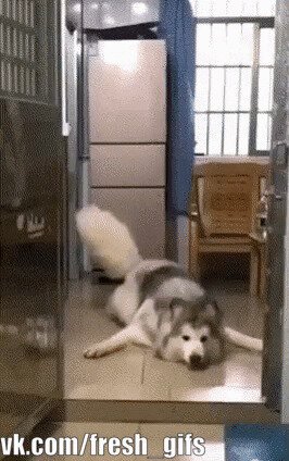 Вот нахрена пол мыть