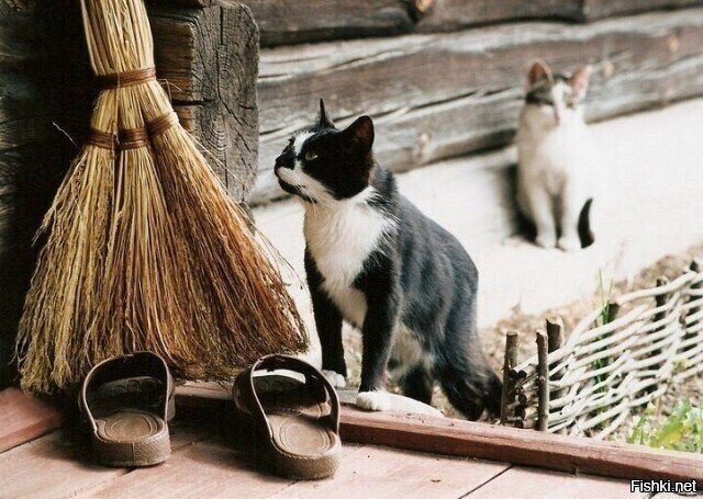 - А помнишь, как ты меня гонял