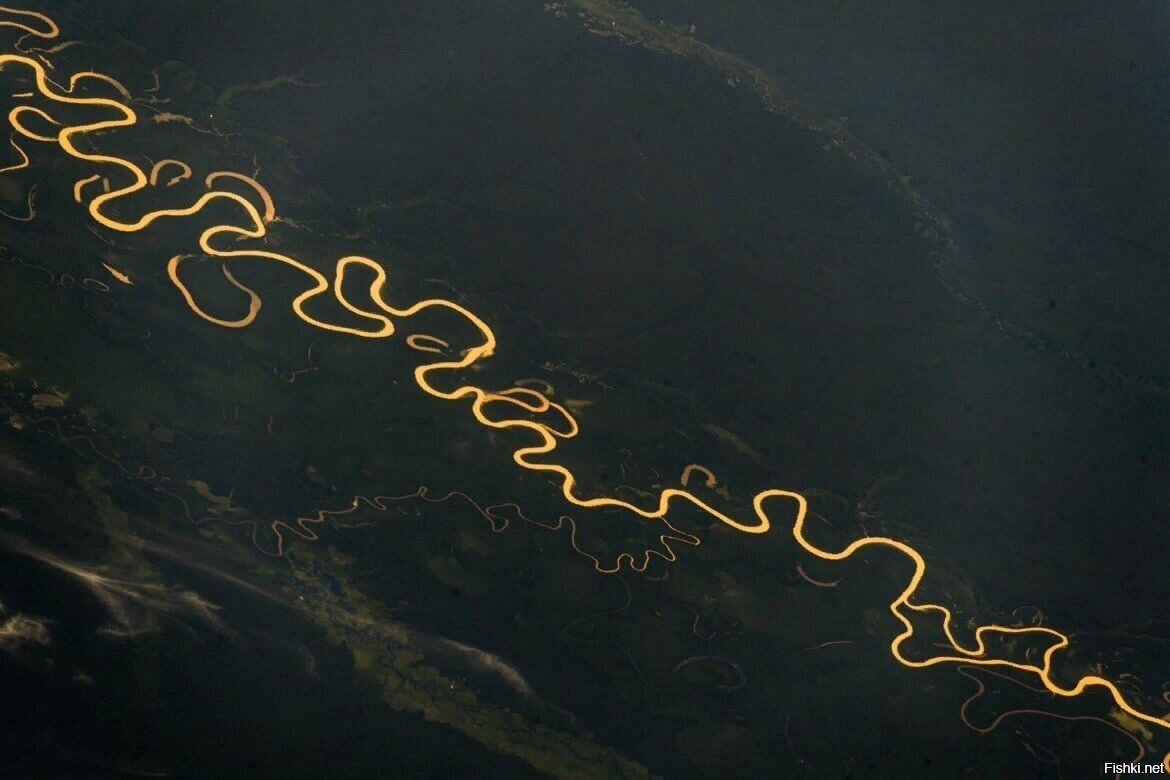 Участок Амазонки на территории Бразилии