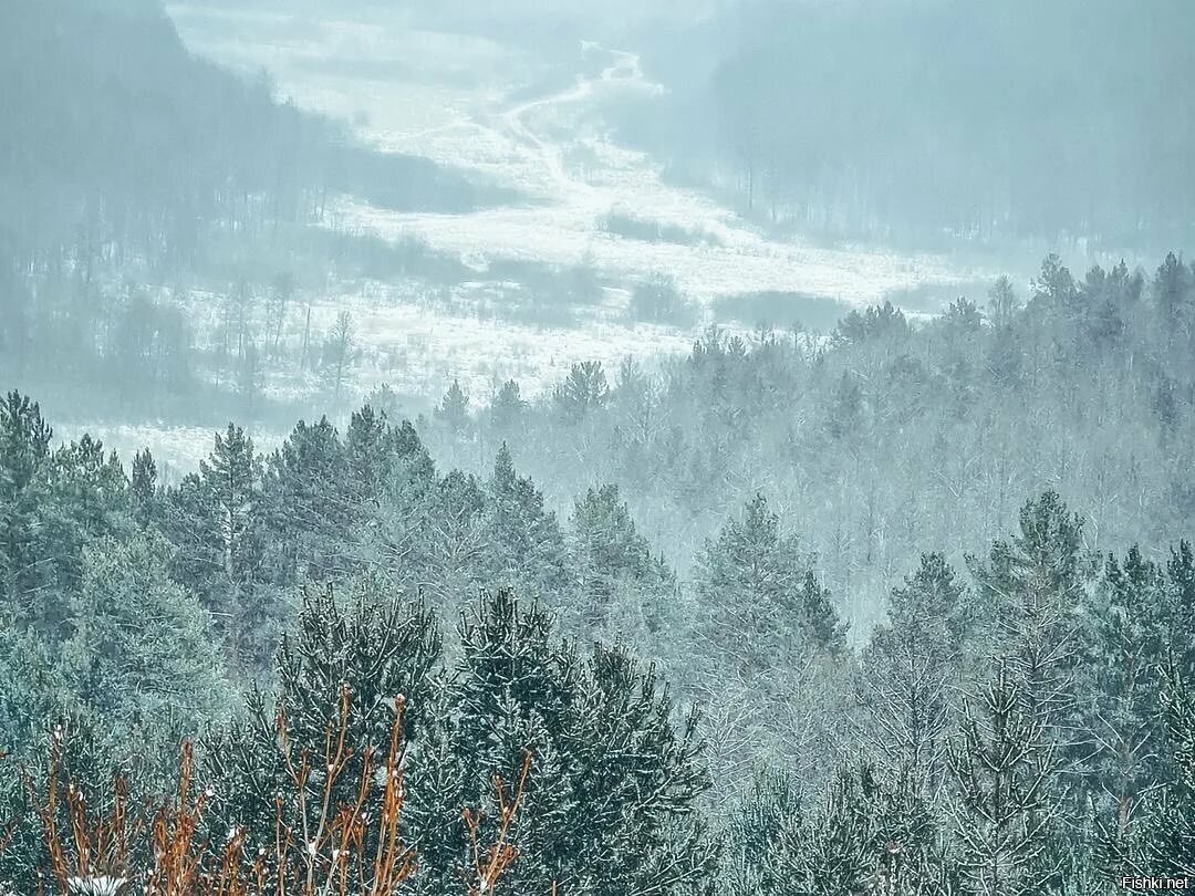 Всем доброго дня и удачных выходных