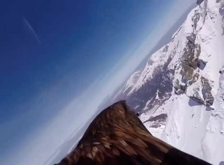 Красивый полёт