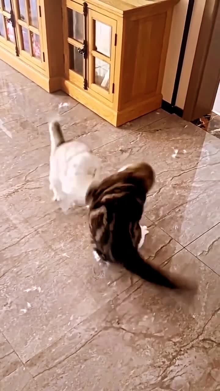 Семейные разборки)