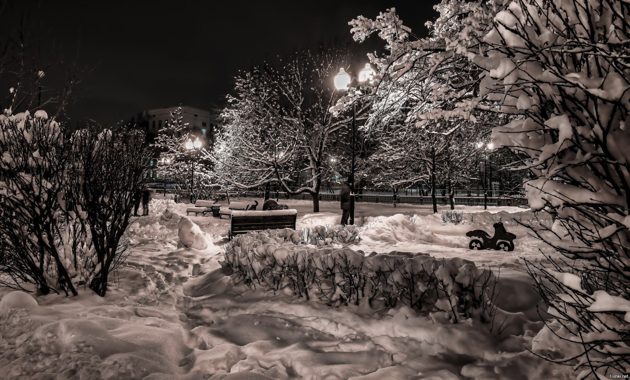 Зима прошлого года