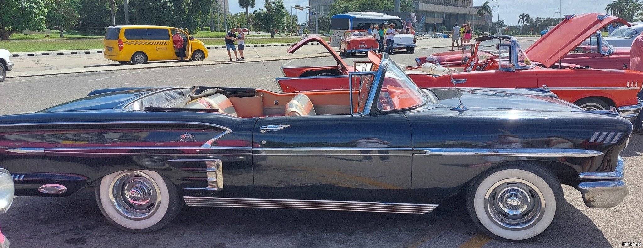 Немного фотографий из лета