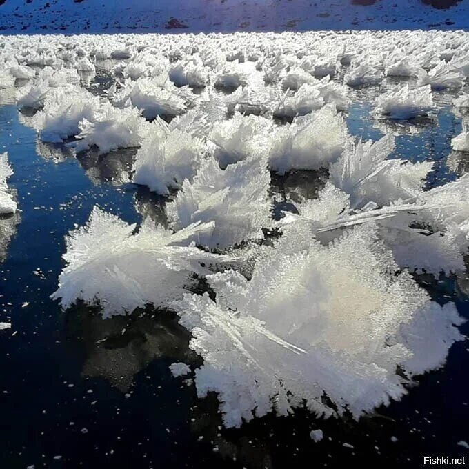 Доброе утро)