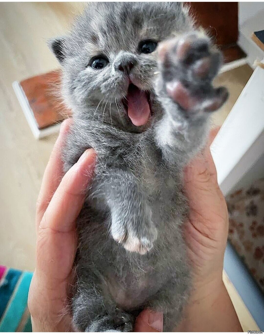 Доброе утро