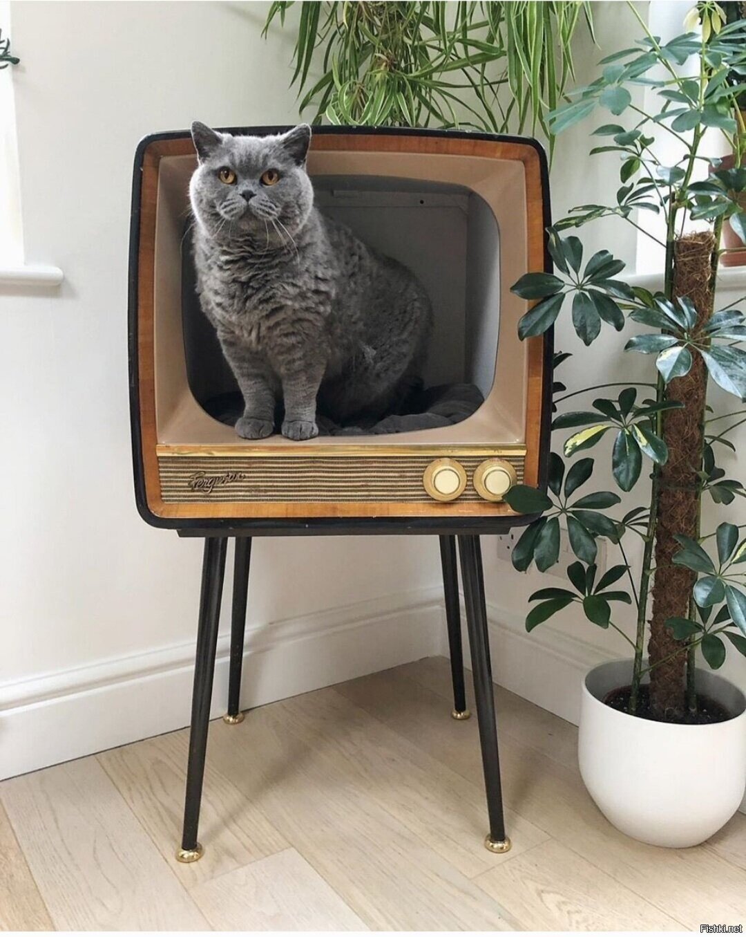 Доброе утро