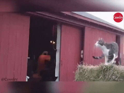 Мало математики, еще физику надо знать