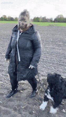 погуляли, и хватит