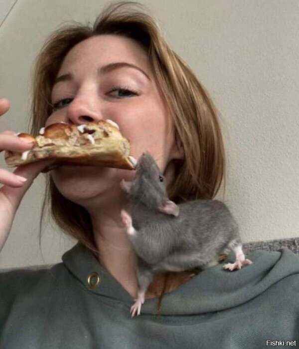 к заглавной