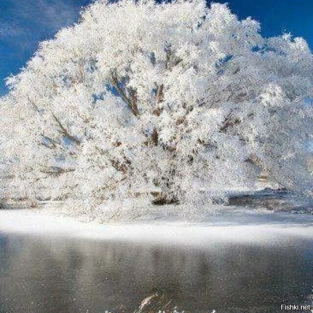 Доброе утро) 22 ноября, Матрёны зимние (Зимний день)