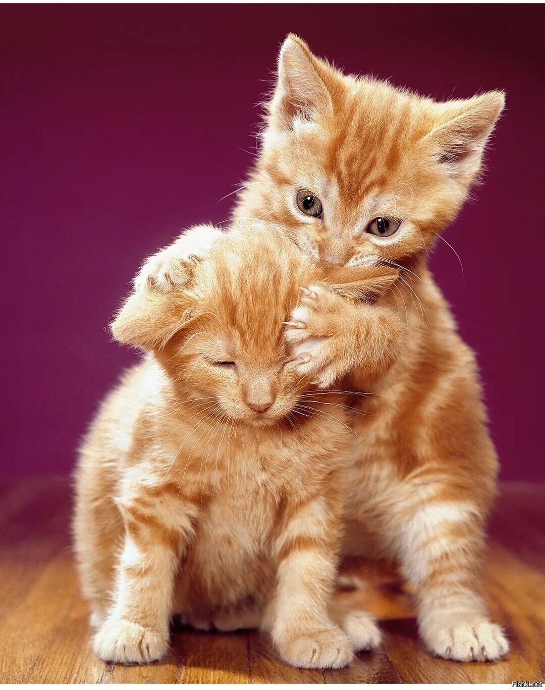 Доброе утро