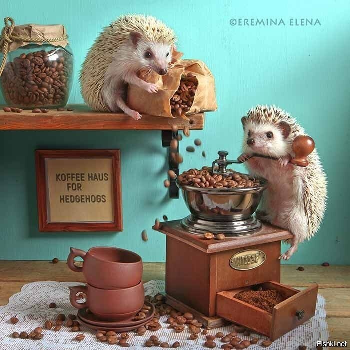 С добрым утром