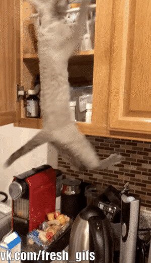 - Я тихонечко пожру