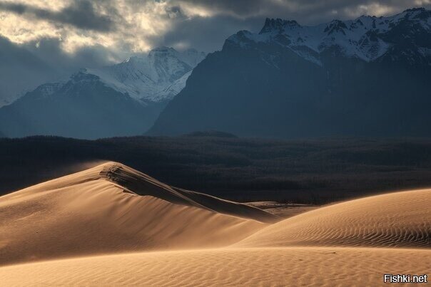 Пустыня Забайкалья – Чарские пески, Кодар