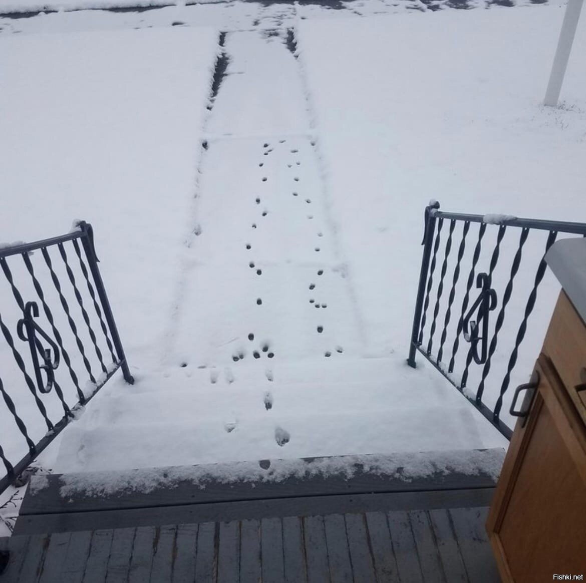 Я и моё невероятное желание гулять зимой: