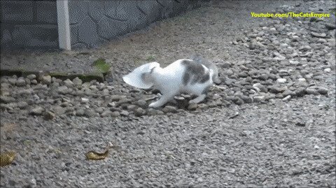 А человек снимает