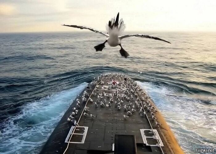 Вот это , я понимаю , авианосец