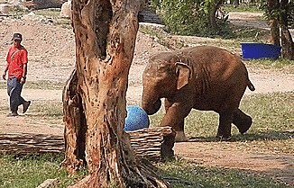 -катар, катар