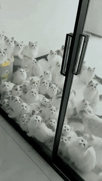 тушите свет, я спать