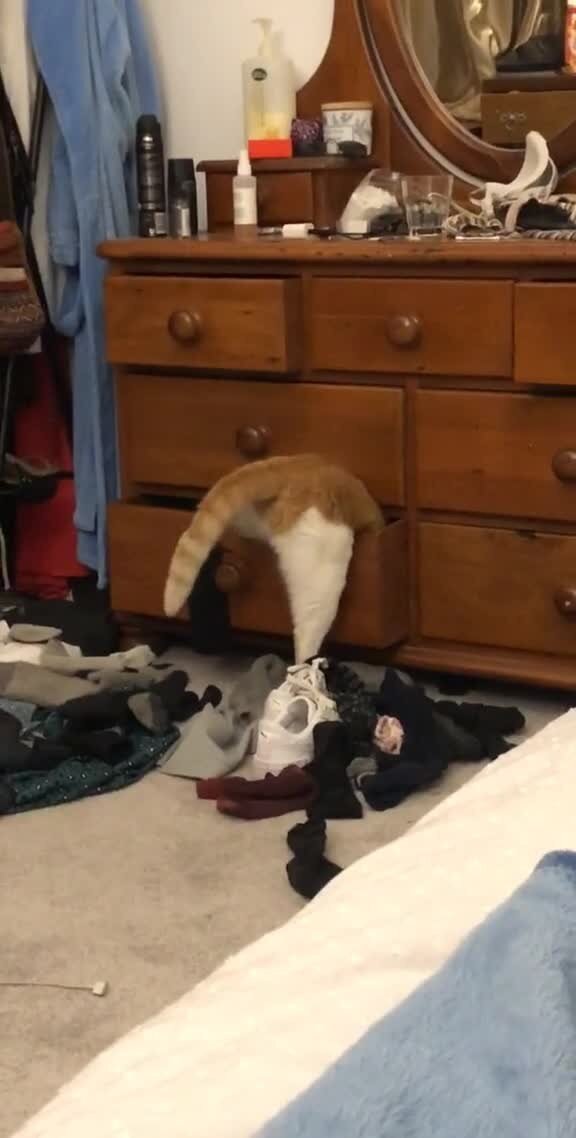 Завтра точно сажусь на диету))