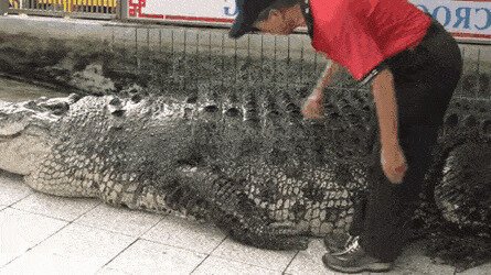 -хватит, щекотно