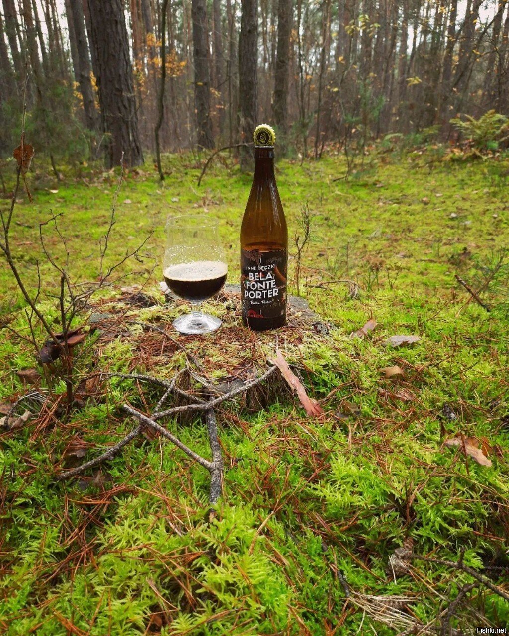 Пошёл в лес по грибы, а нашёл это