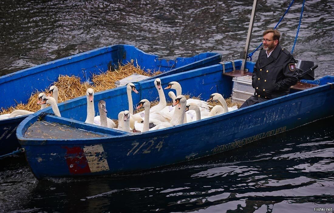 и мазай не тот, и зайцы не такие