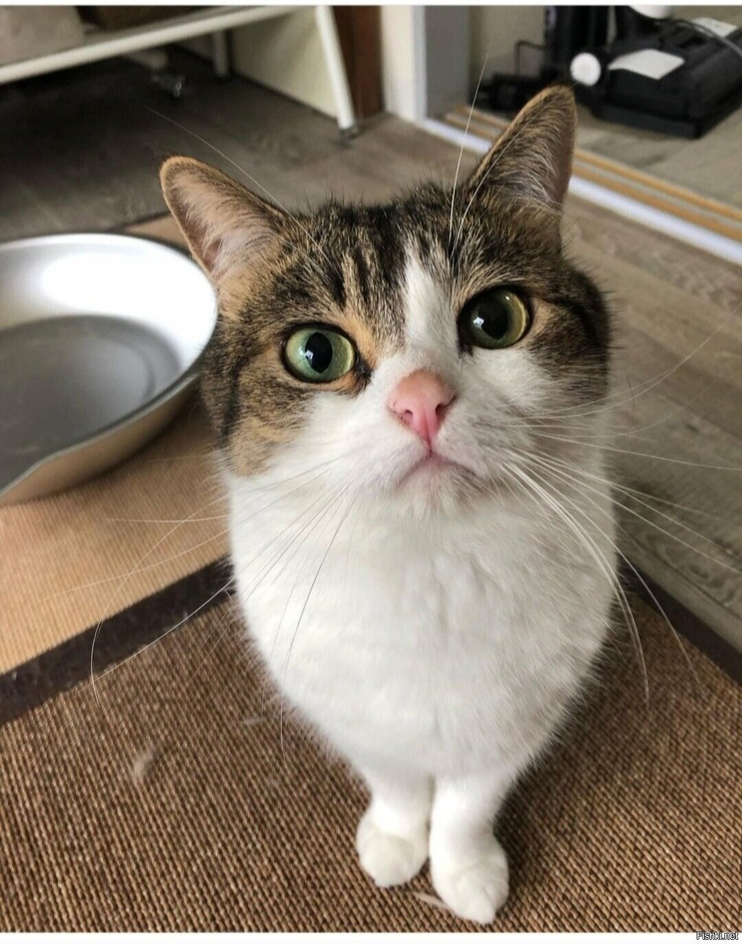 Доброе утро