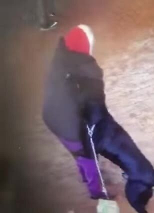 Вот почему никогда нельзя гладить чужую собаку, особенно ротвейлера