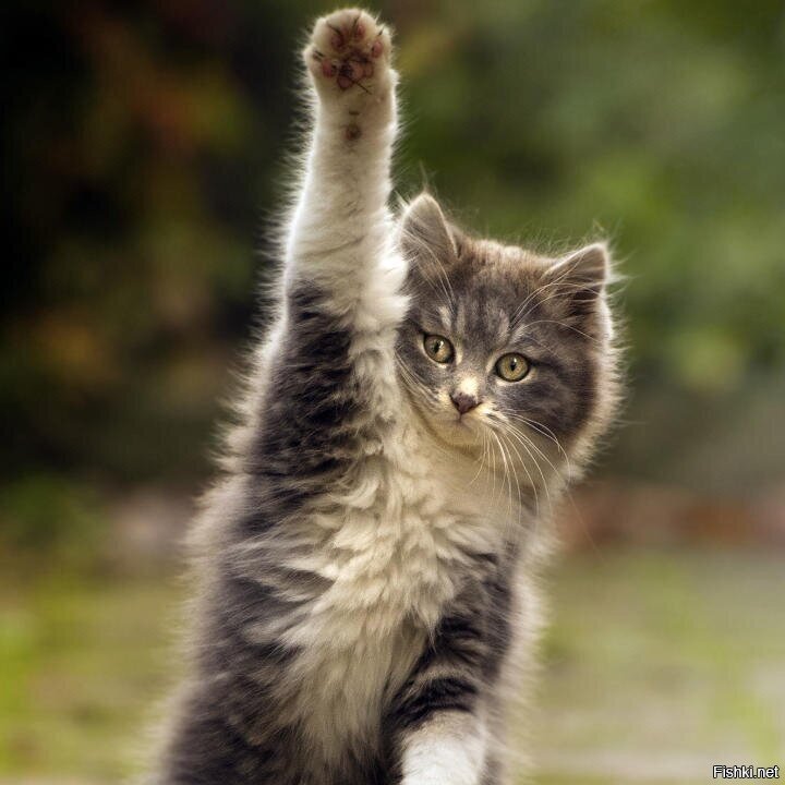 С добрым утром