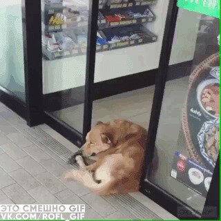 Похеризм выокого уровня